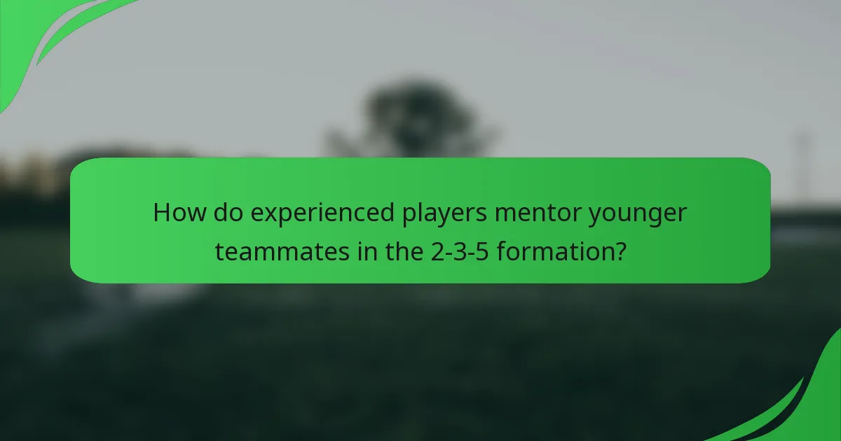 How do experienced players mentor younger teammates in the 2-3-5 formation?